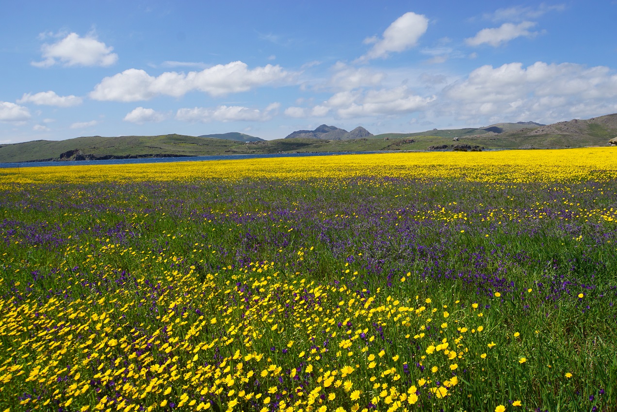 Terra Vita: Νέα πιστοποίηση “Αγροτική Παράδοση & Βιοποικιλότητα”