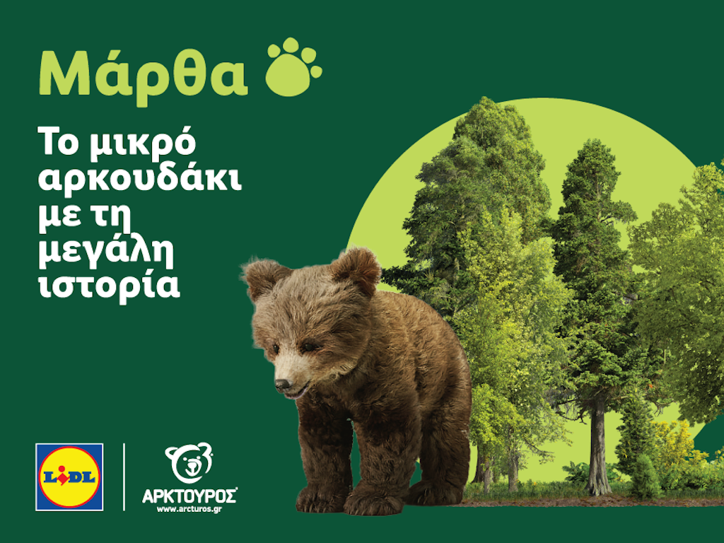 Lidl Ελλάς: Επανένταξη της μικρής αρκούδας Μάρθας στη φύση