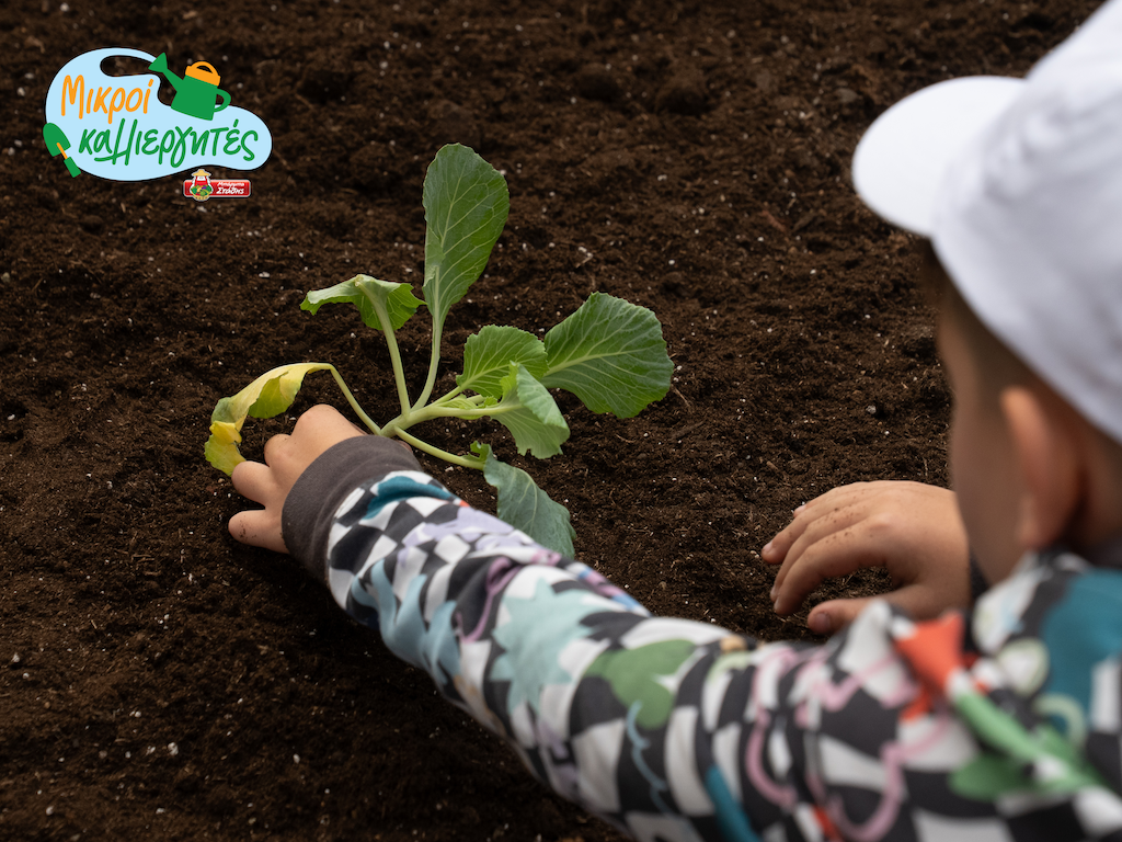 Μπαρμπα Στάθης: Πρόγραμμα «Μικροί Καλλιεργητές»